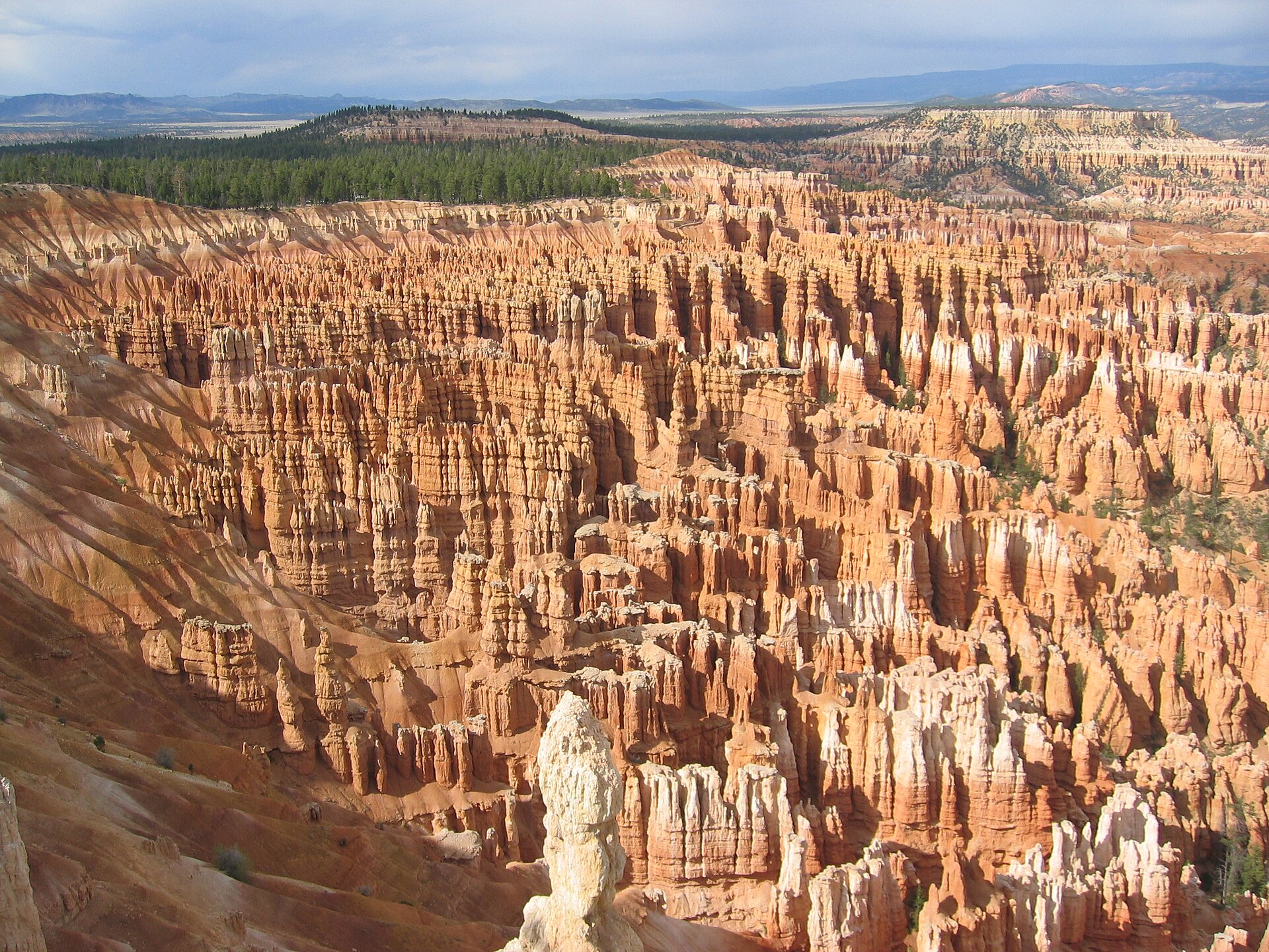 Orange hoodoo spires filling the amphitheater at Bryce Canyon National Park