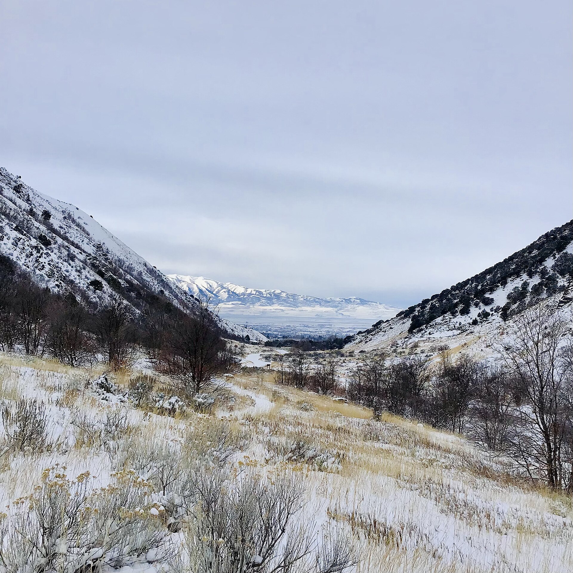 A Foodie Day Trip Through Cache Valley: Pancakes, Cheese Curds, Aggie Ice Cream and More